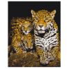 Picture of Nocturnal Leopards Boxed