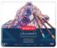 Picture of Coloursoft Pencil Tin 24
