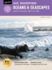 Picture of W/F Learn To Paint Oceans And Seascapes