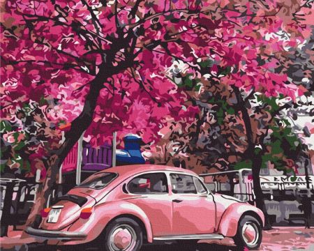 Picture for category Paint By Numbers