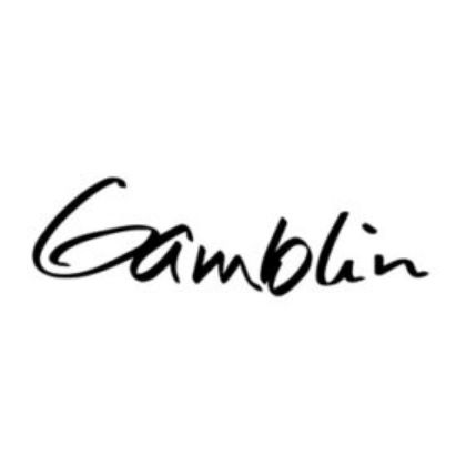 Picture for manufacturer Gamblin
